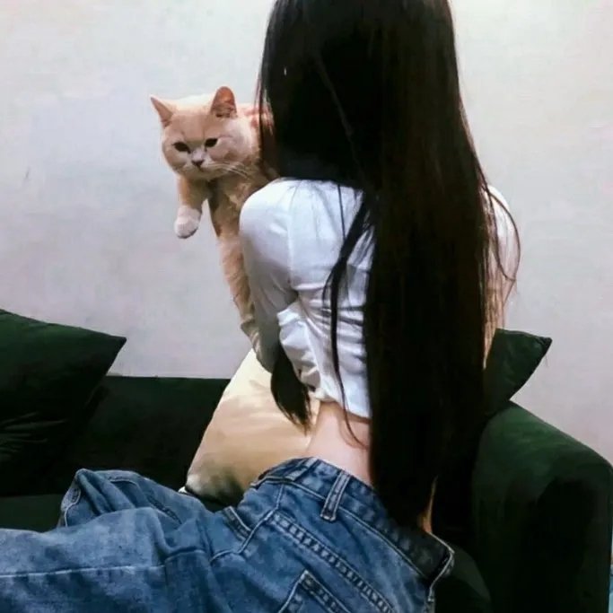有村架纯的休工期